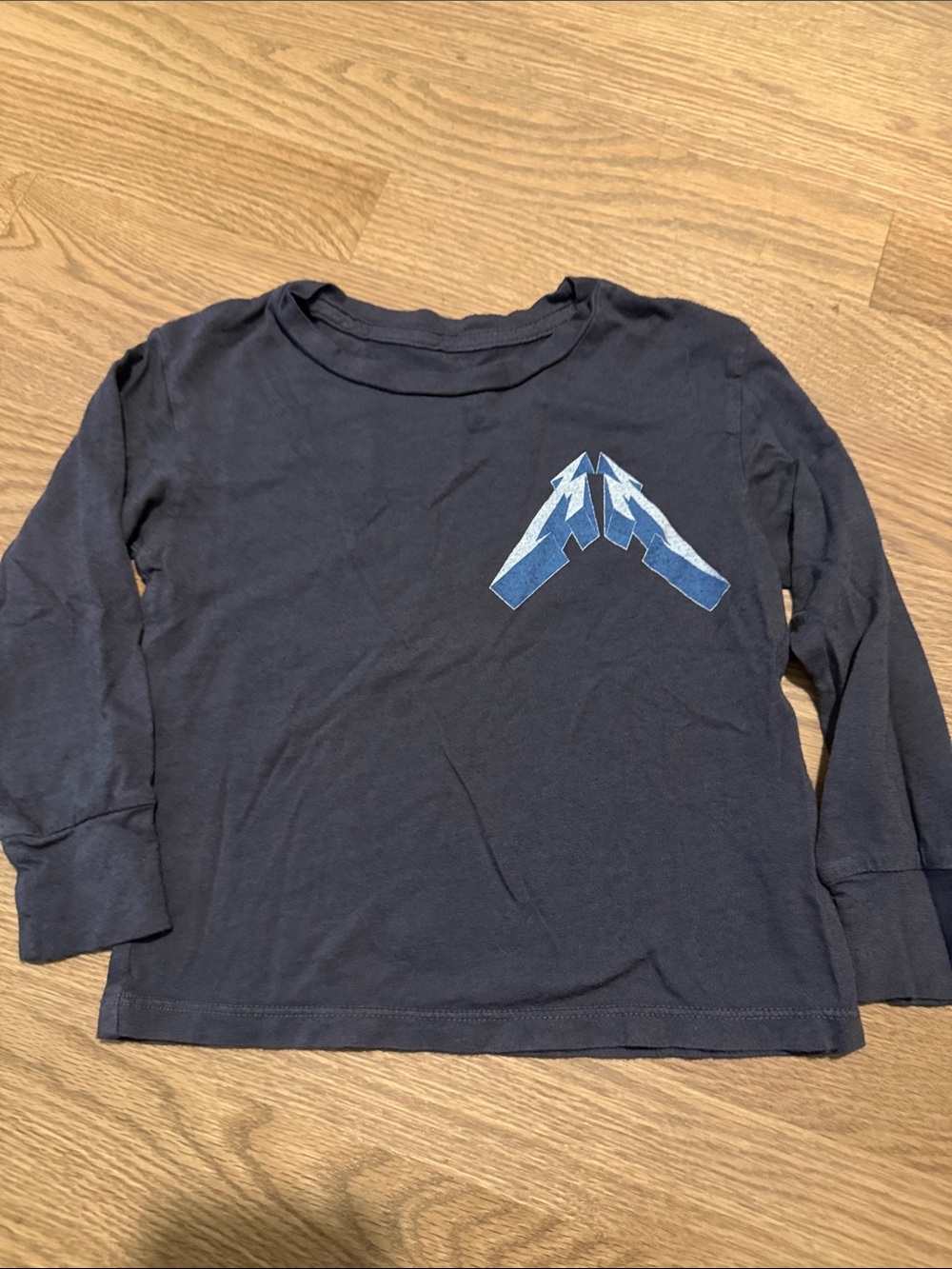 Rowdy Sprout Long-Sleeve Graphic Tee